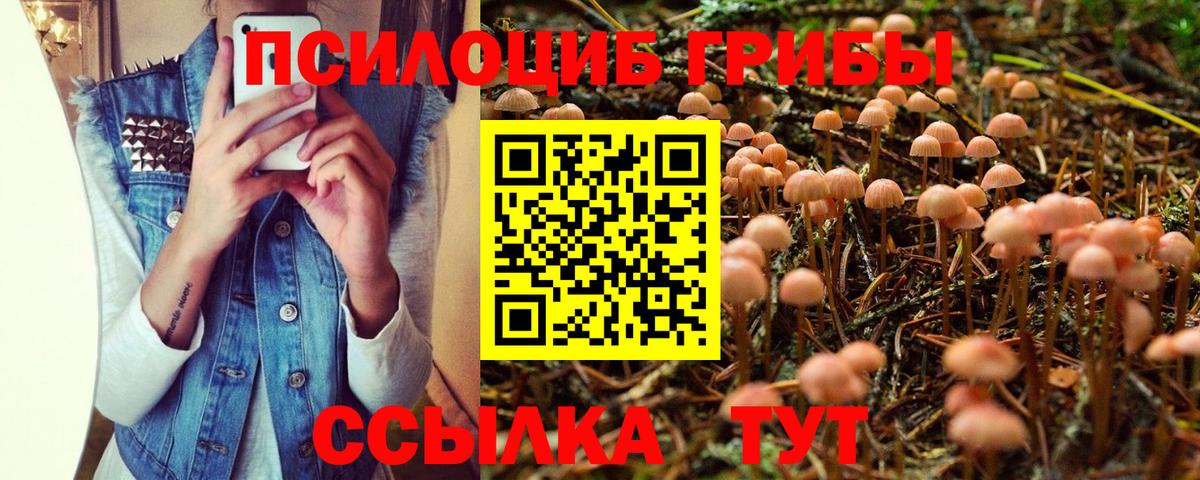 Псилоцибиновые грибы Cubensis  Псилоцибиновые грибы GOLDEN TEACHER  Гудермес  Вход с VPN 