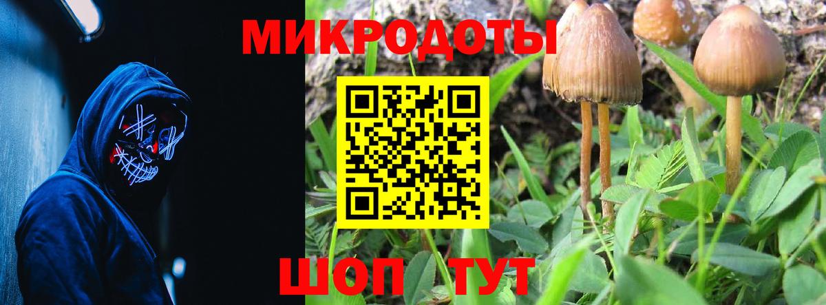 Псилоцибиновые грибы мицелий Гудермес